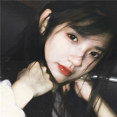 狗纹龙爸爸
