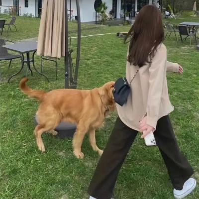 一千零一靥